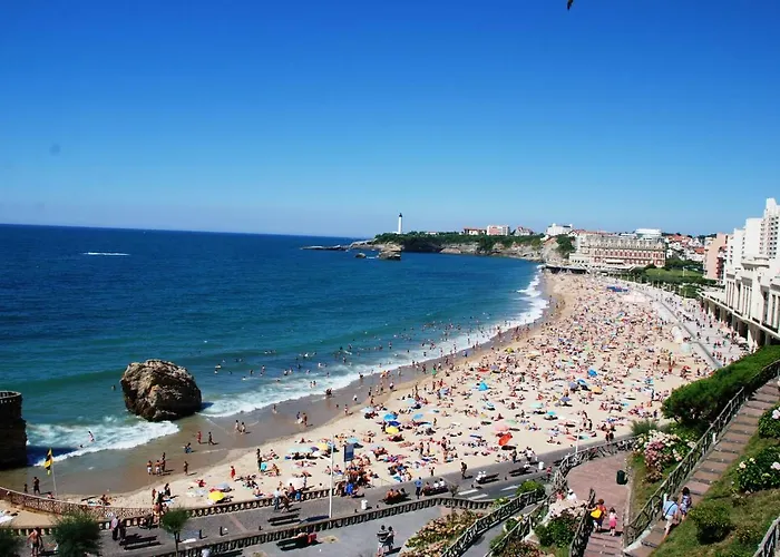 Apartman Bellevue 766 *